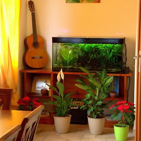 La Fenice Bed & Breakfast Alghero